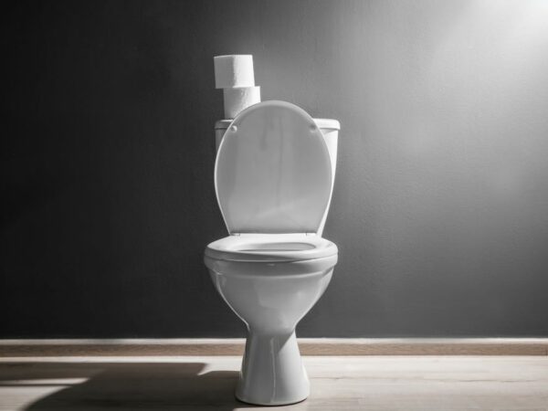 15 Spiritual Meanings When You Dream About Toilet