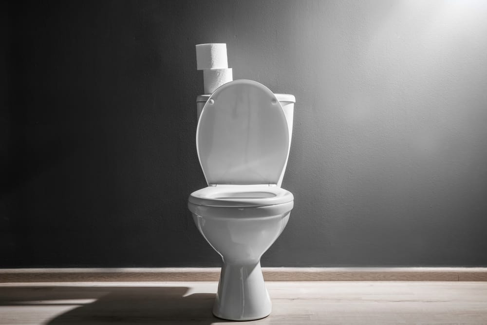 15 Spiritual Meanings When You Dream About Toilet