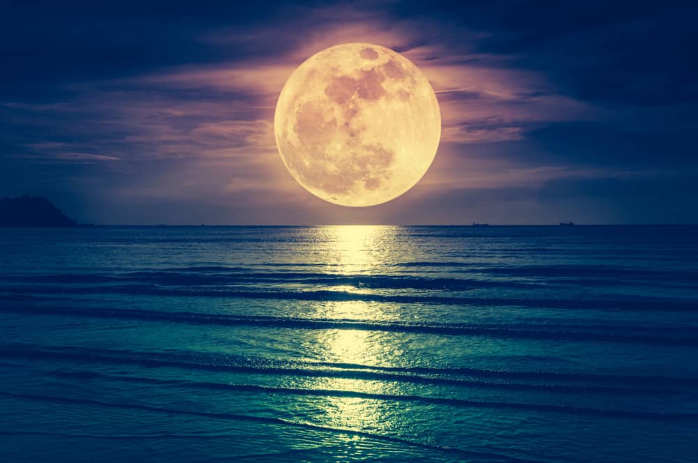 What Does it Mean to Dream of About a Full Moon?