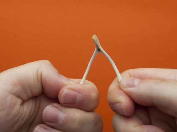 15 Spiritual Meanings of Wishbone – More Than Luck