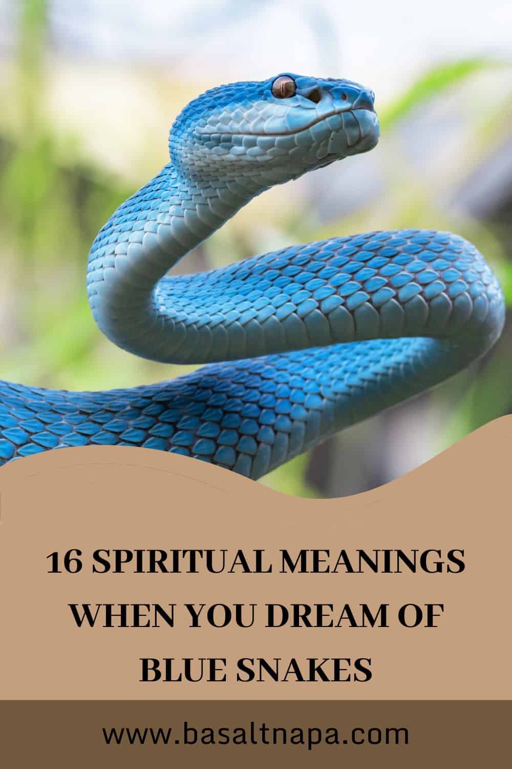 Dream of Blue Snake Meaning