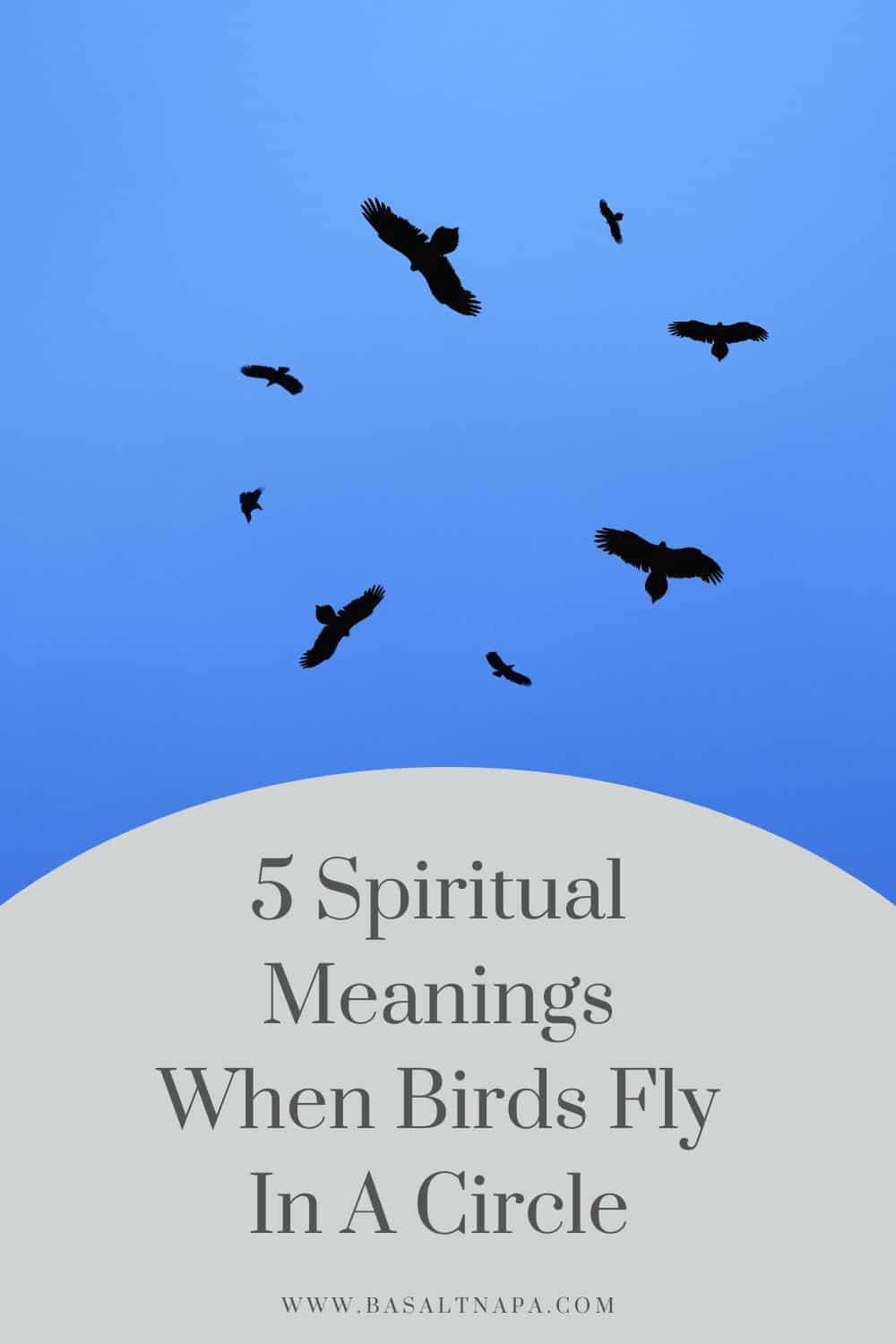 5 Spiritual Meanings When Birds Fly In A Circle