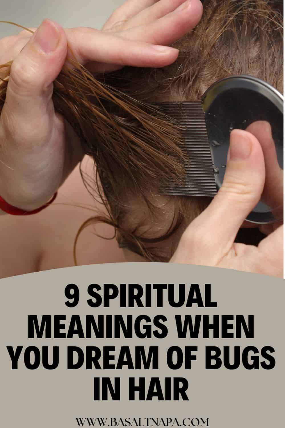9 Spiritual Meanings When You Dream of Bugs In Hair