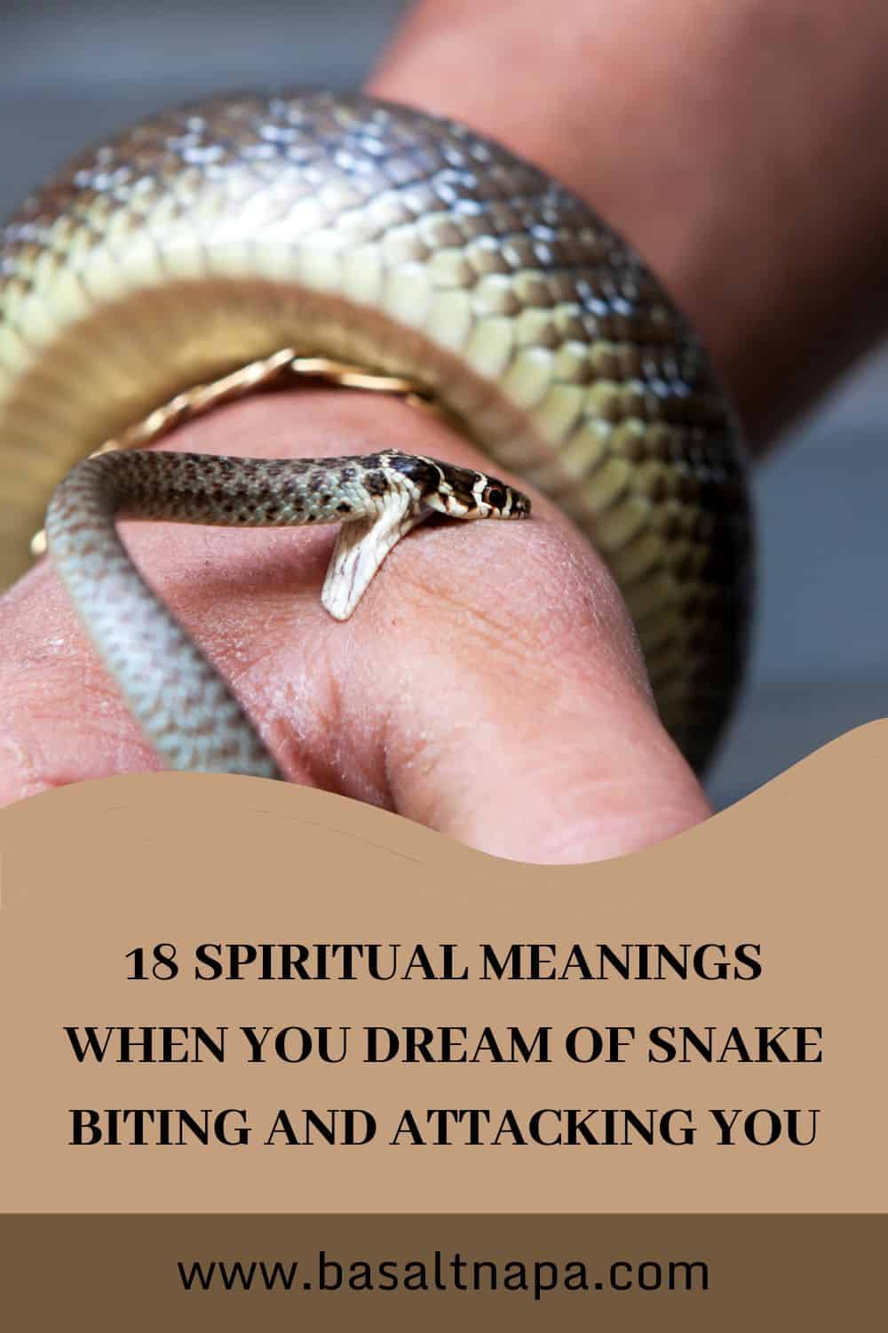 Dream of Snake Biting and Attacking You Symbolism