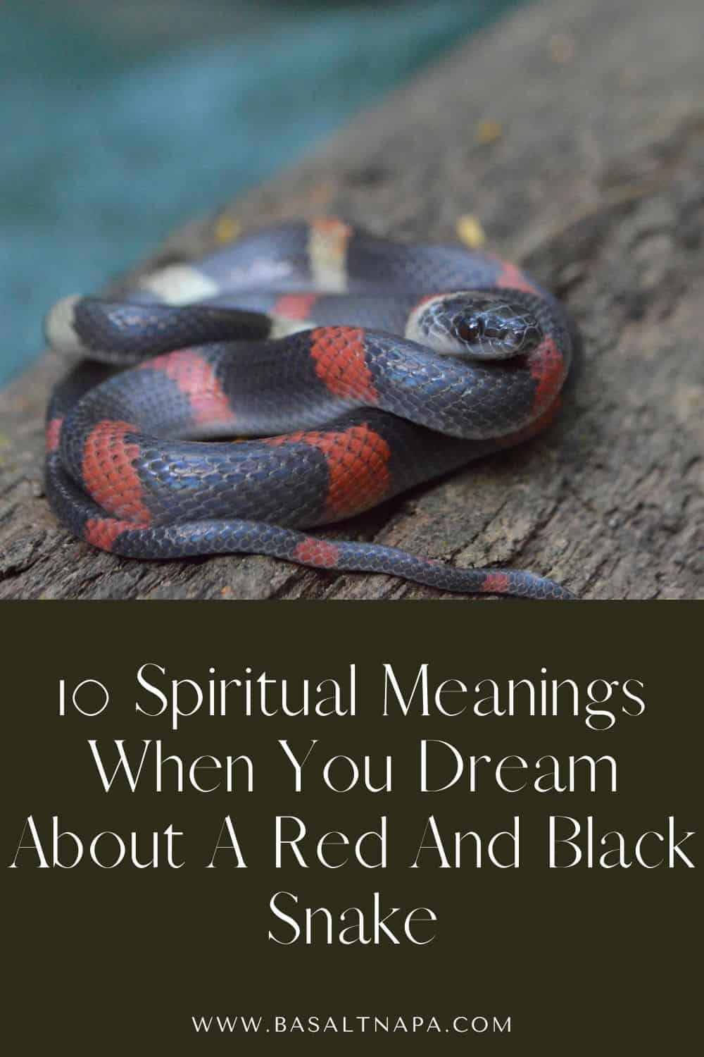 10 Spiritual Meanings When You Dream About A Red And Black Snake