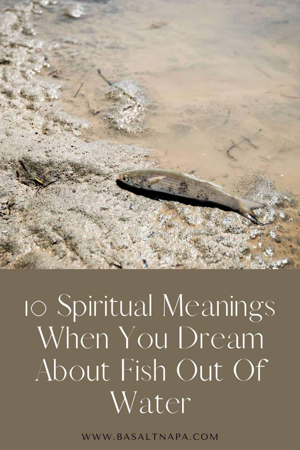 10 Spiritual Meanings When You Dream About Fish Out Of Water