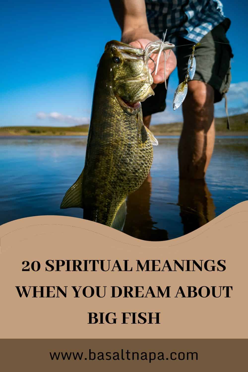 20 Spiritual Meanings When You Dream About Big Fish