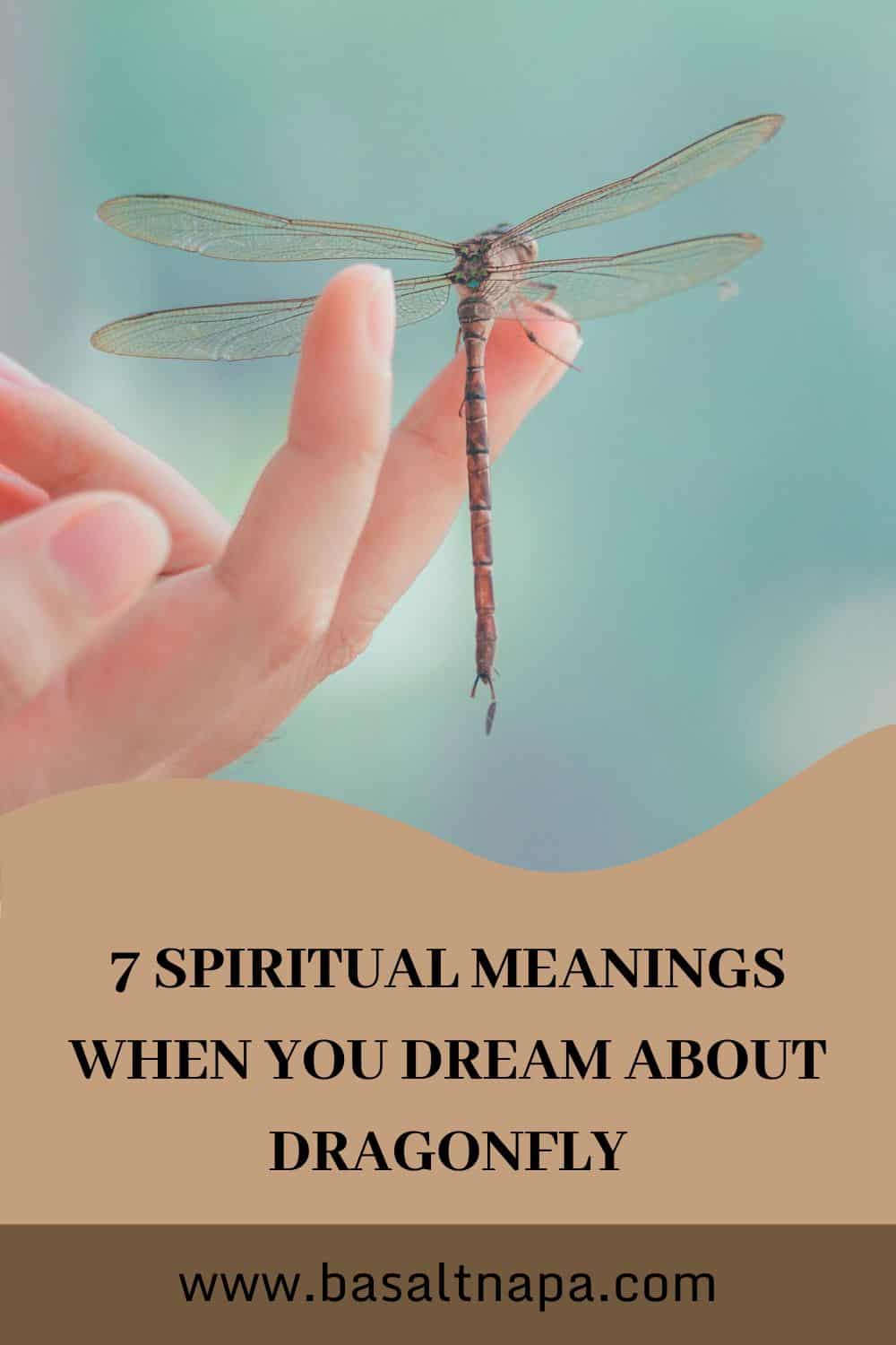 7 Spiritual Meanings When You Dream About Dragonfly