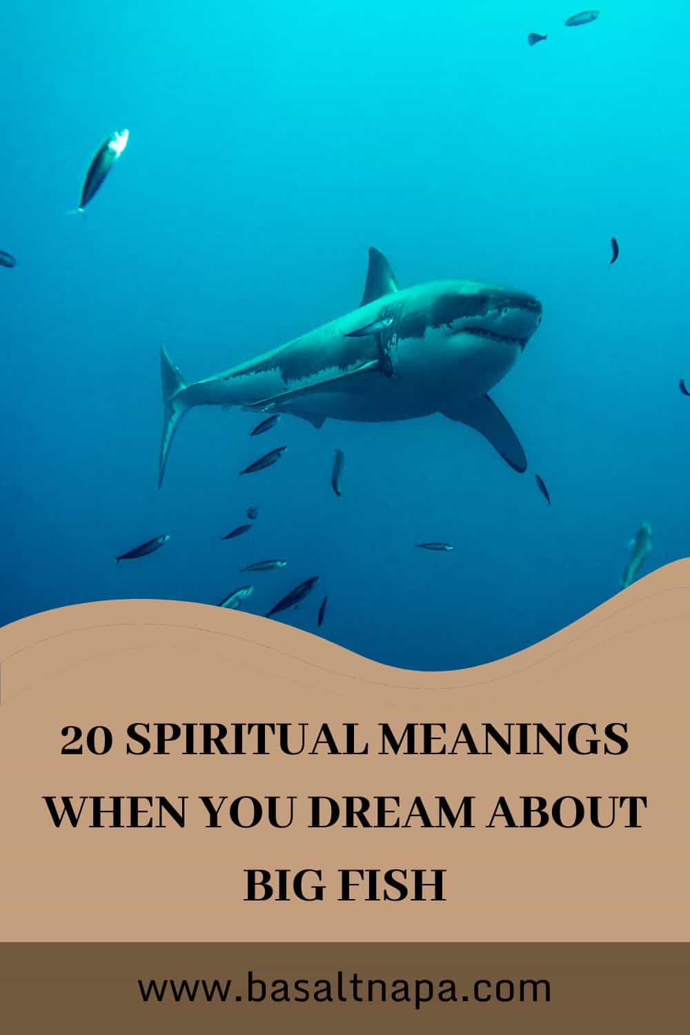 Dream About Big Fish 20 Interpretations
