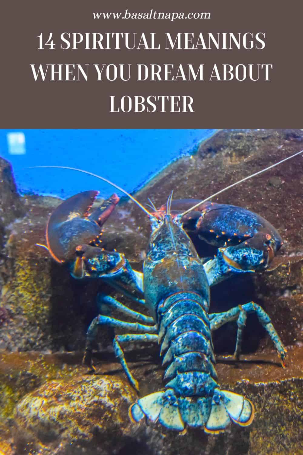 What Does It Mean To Dream About Lobsters
