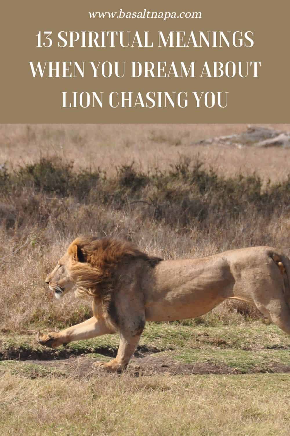 What It Means To Be Pursued By a Lion in Your Dream