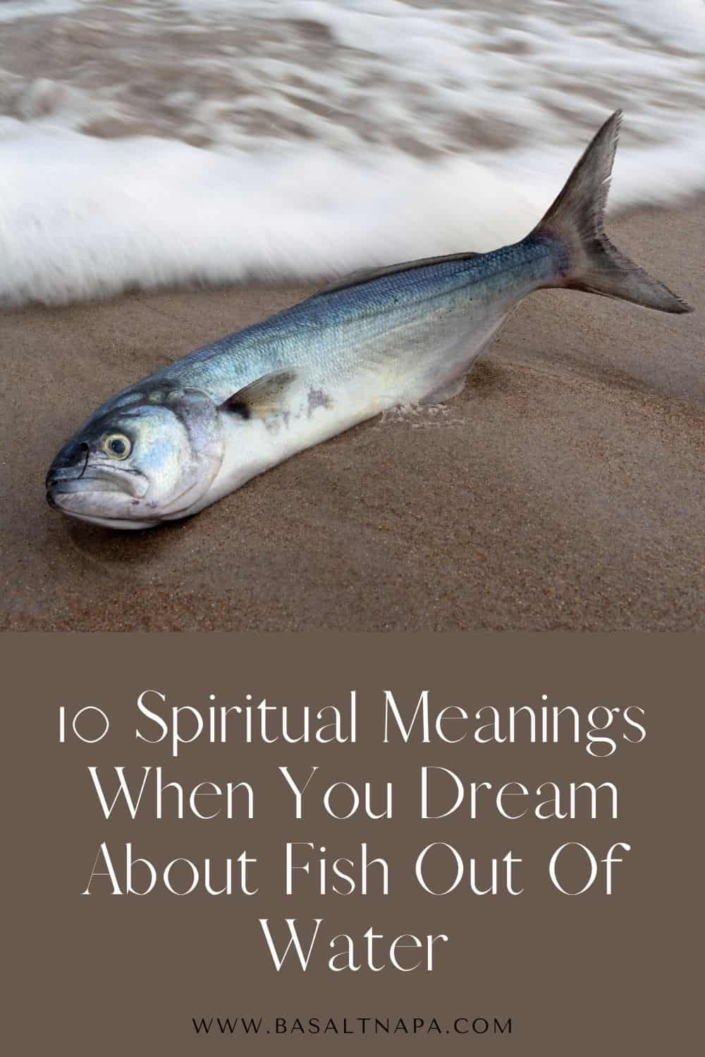 What does it mean when you dream about fish out of water?