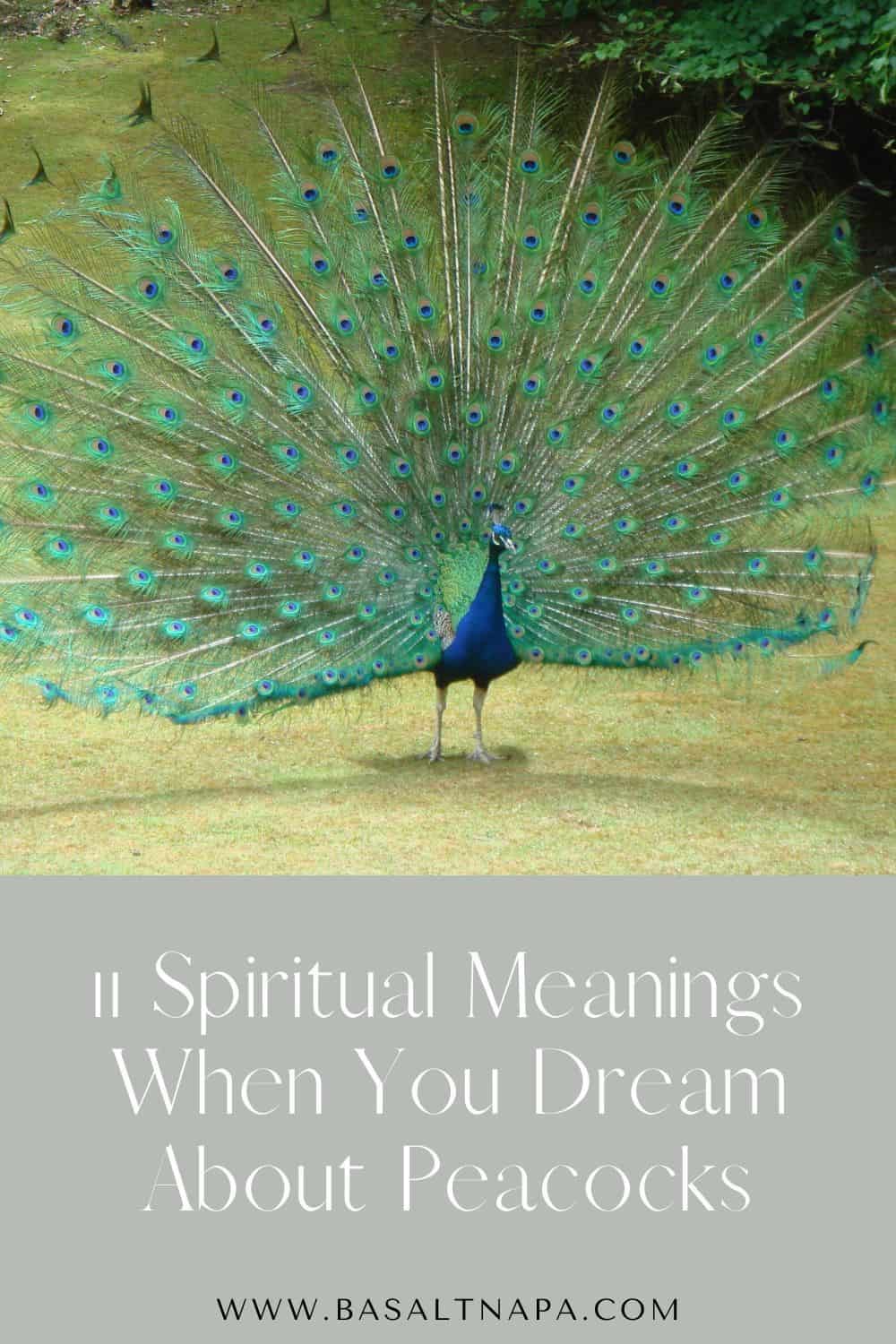What does it mean when you dream about peacocks?