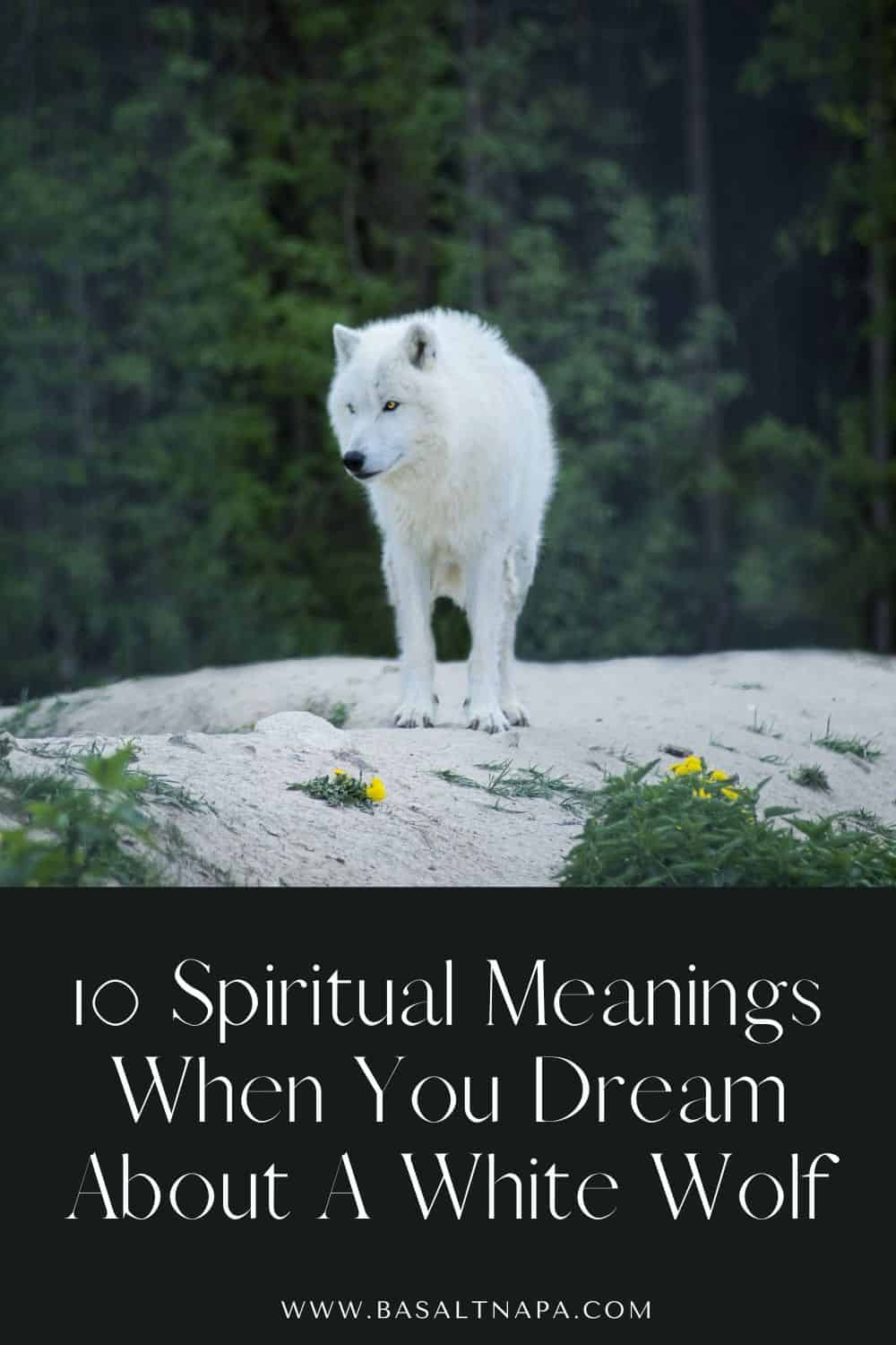 10 Spiritual Meanings When You Dream About A White Wolf