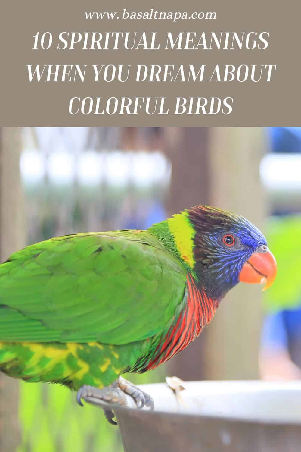 10 Spiritual Meanings When You Dream About Colorful Birds