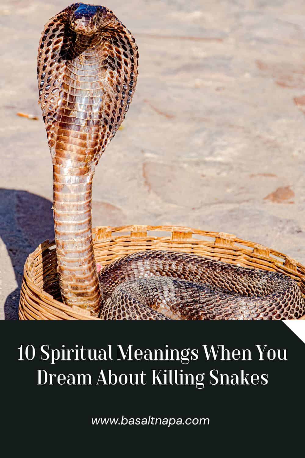 10 Spiritual Meanings When You Dream About Killing Snakes
