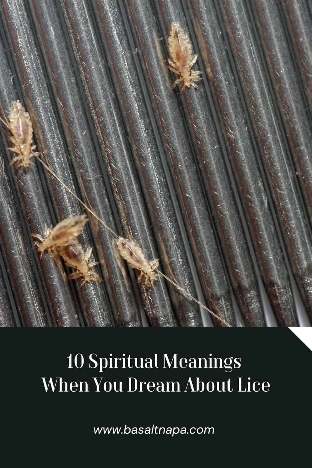 10 Spiritual Meanings When You Dream About Lice