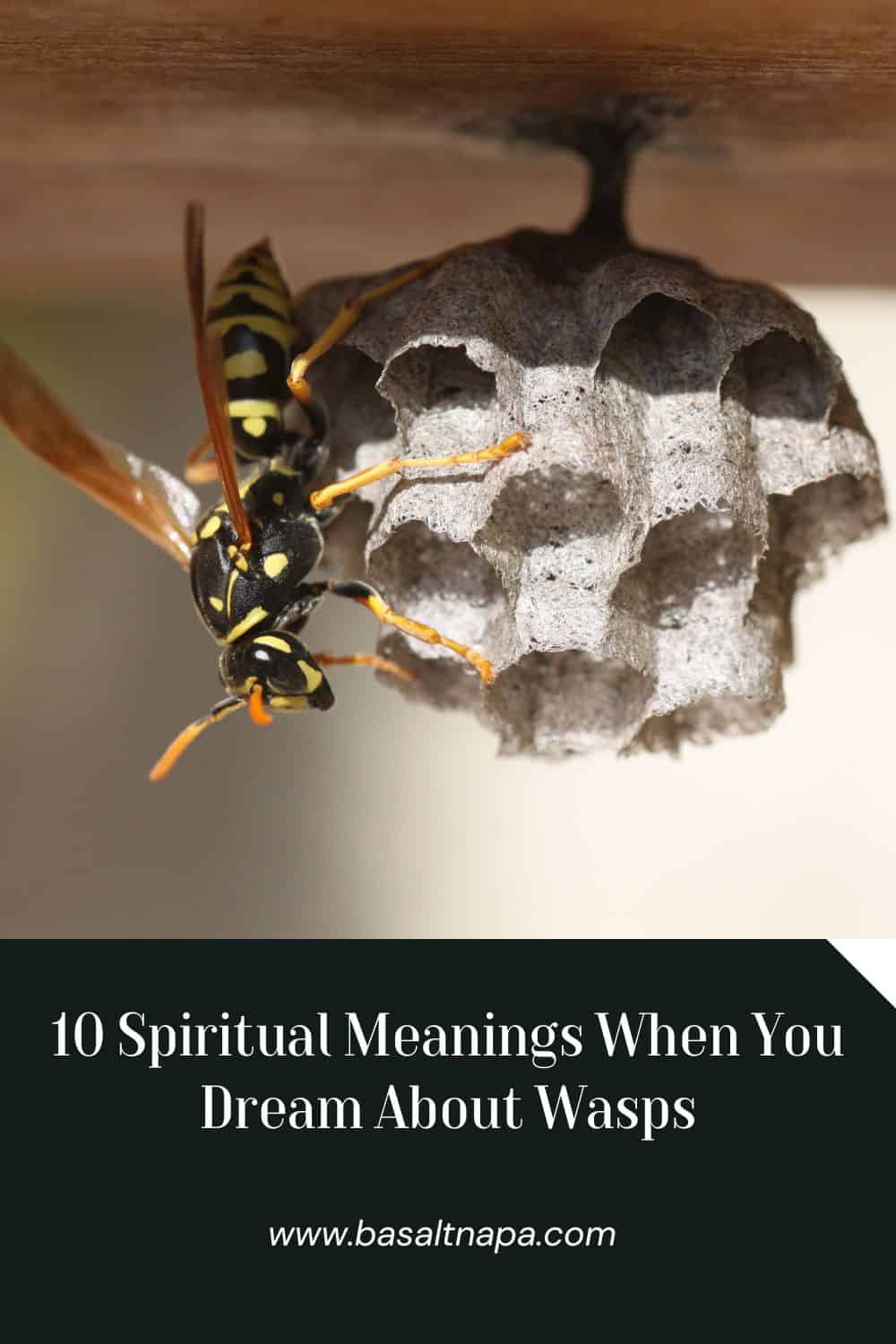 10 Spiritual Meanings When You Dream About Wasps