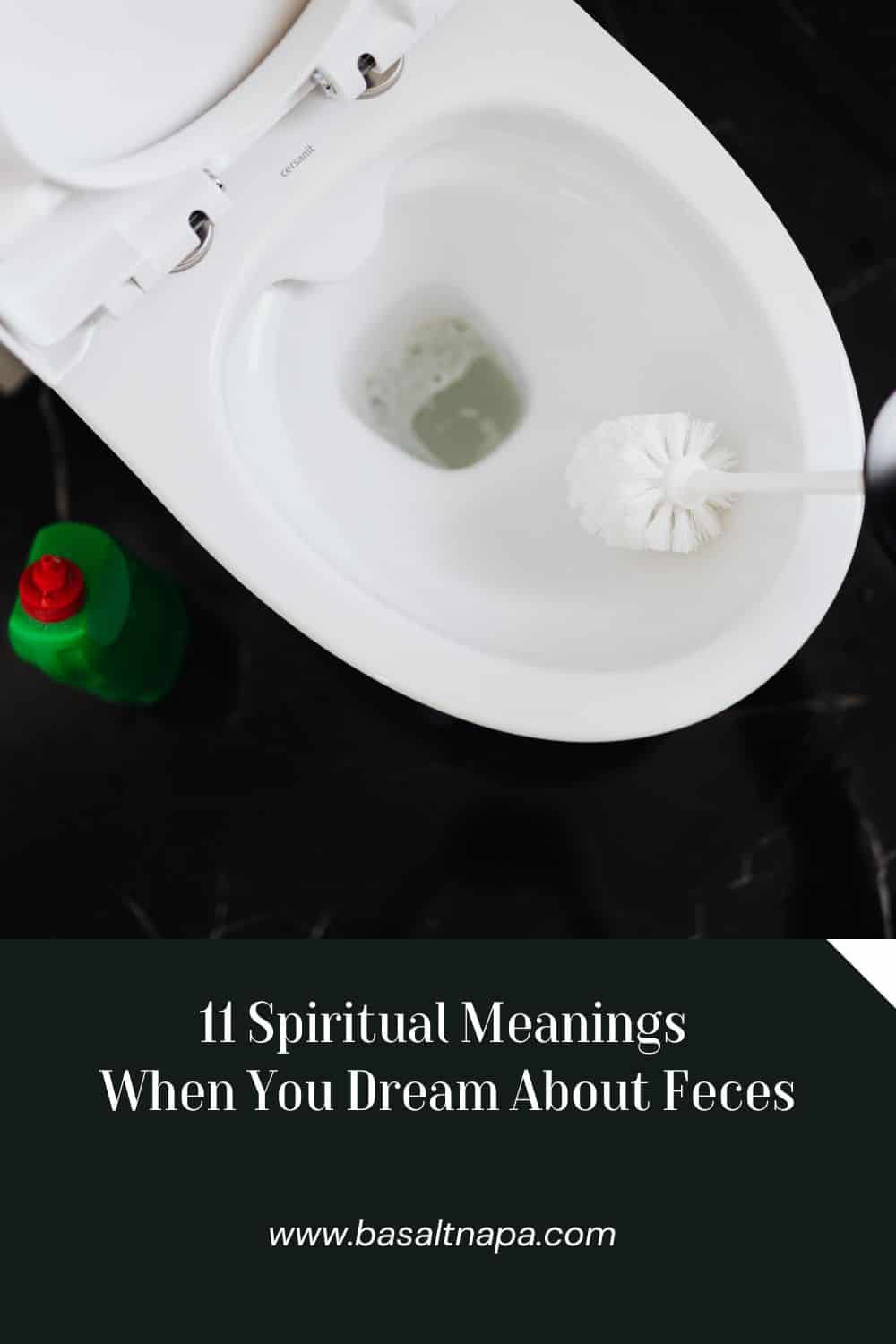 11 Spiritual Meanings When You Dream About Feces
