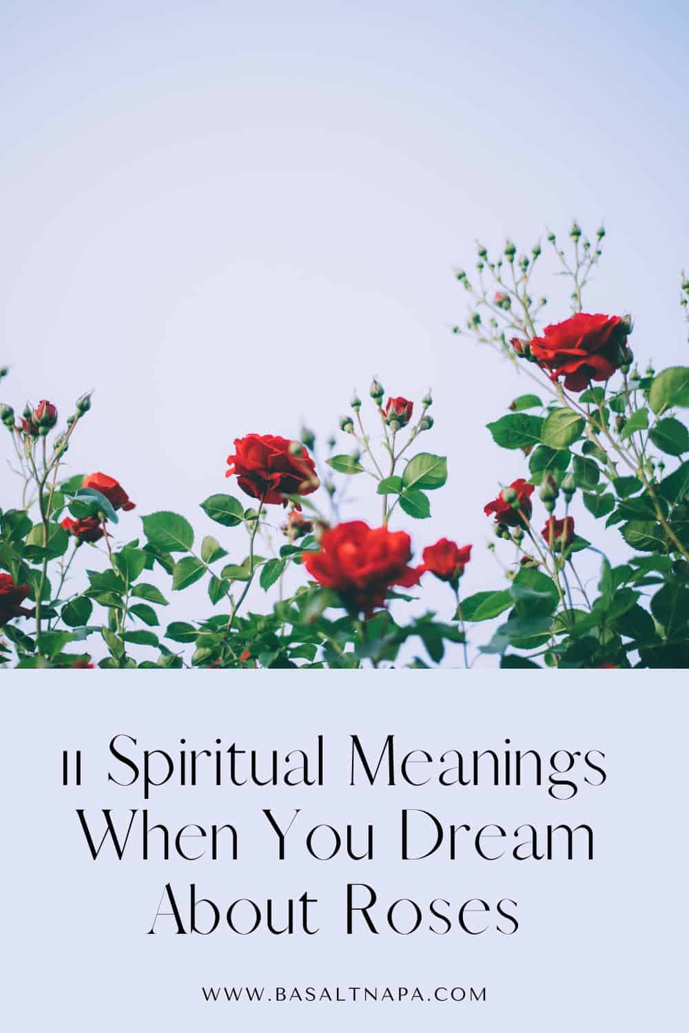 11 Spiritual Meanings When You Dream About Roses