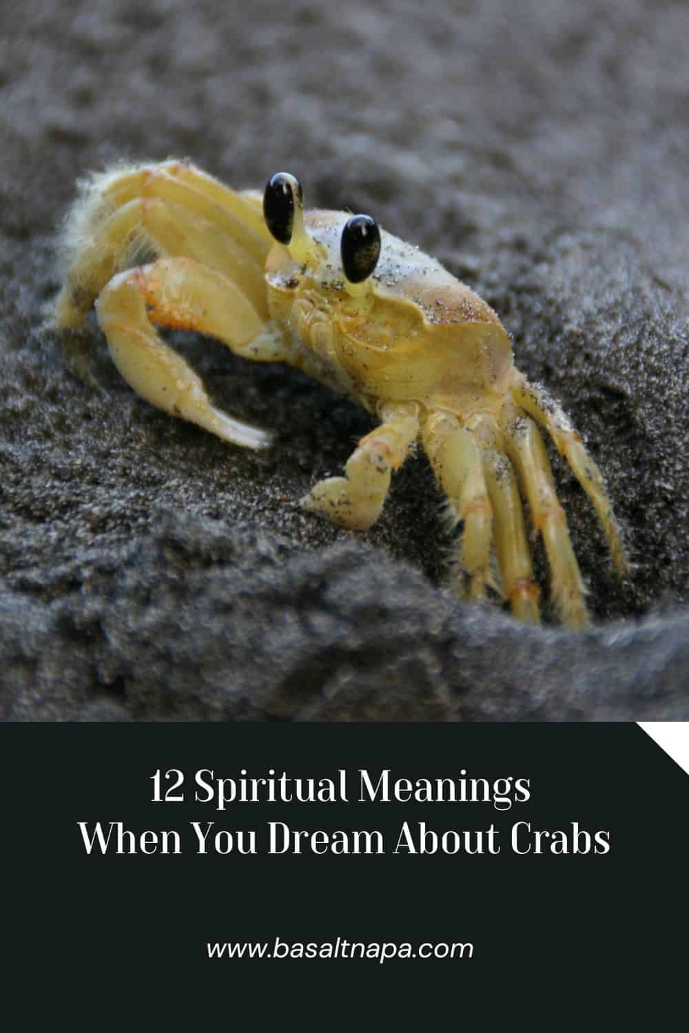 12 Spiritual Meanings When You Dream About Crabs
