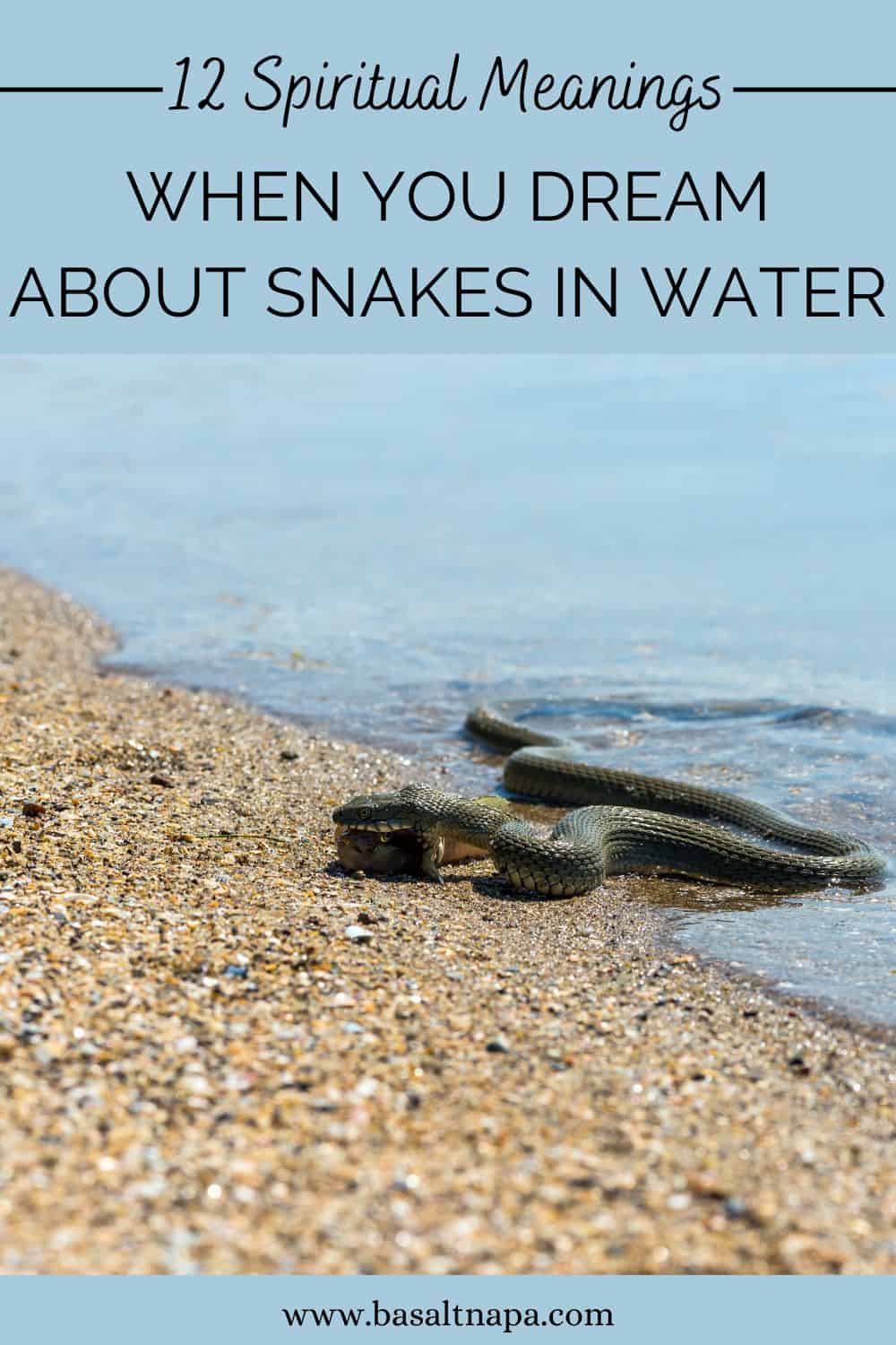 12 Spiritual Meanings When You Dream About Snakes In Water