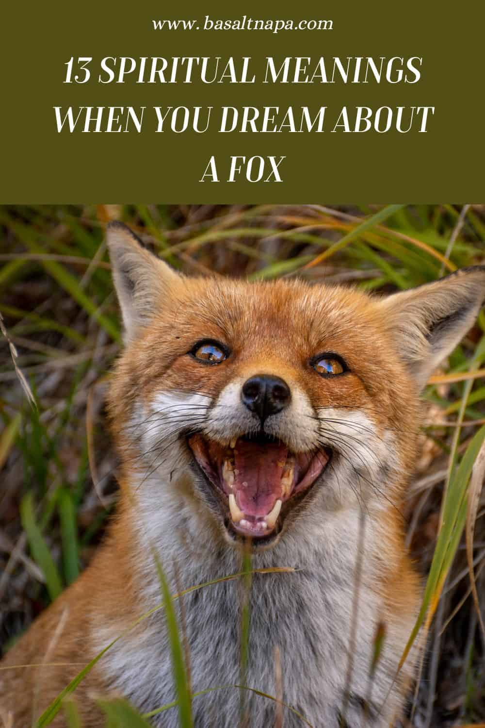 13 Spiritual Meanings When You Dream About A Fox