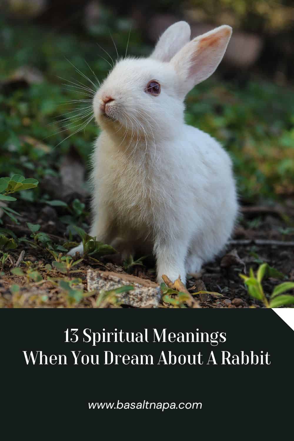 13 Spiritual Meanings When You Dream About A Rabbit