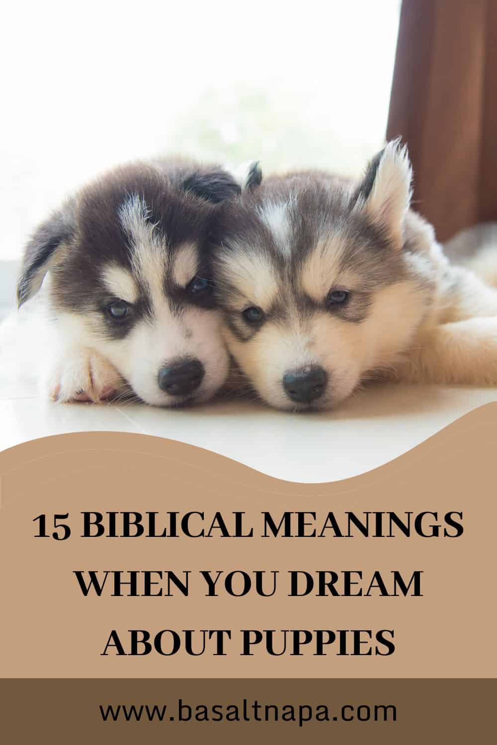 15 Biblical Meanings When You Dream About Puppies