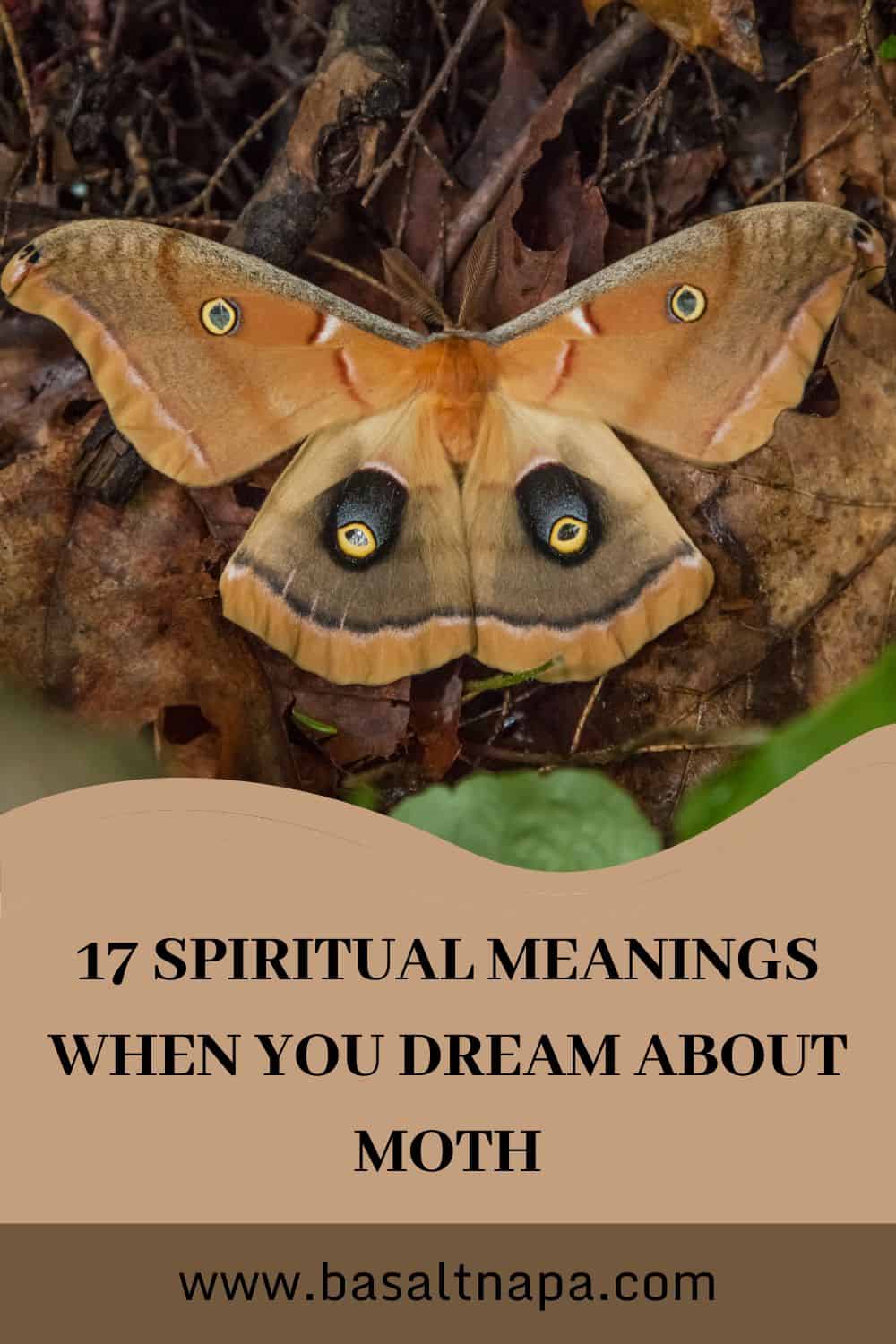 17 Spiritual Meanings When You Dream About Moth