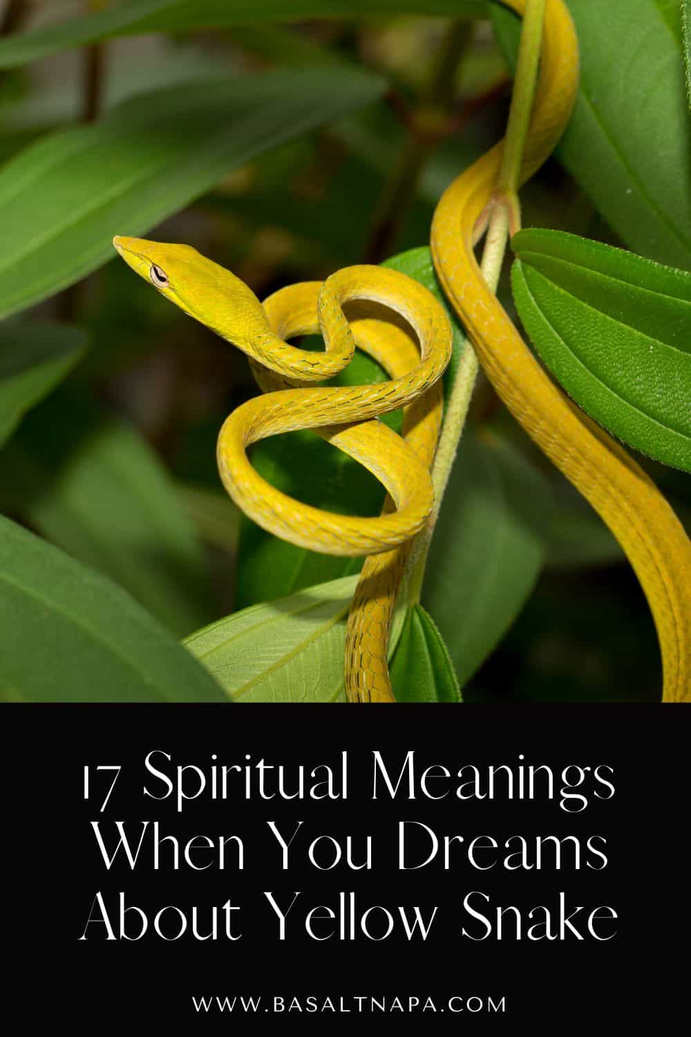 17 Spiritual Meanings When You Dreams About Yellow Snake