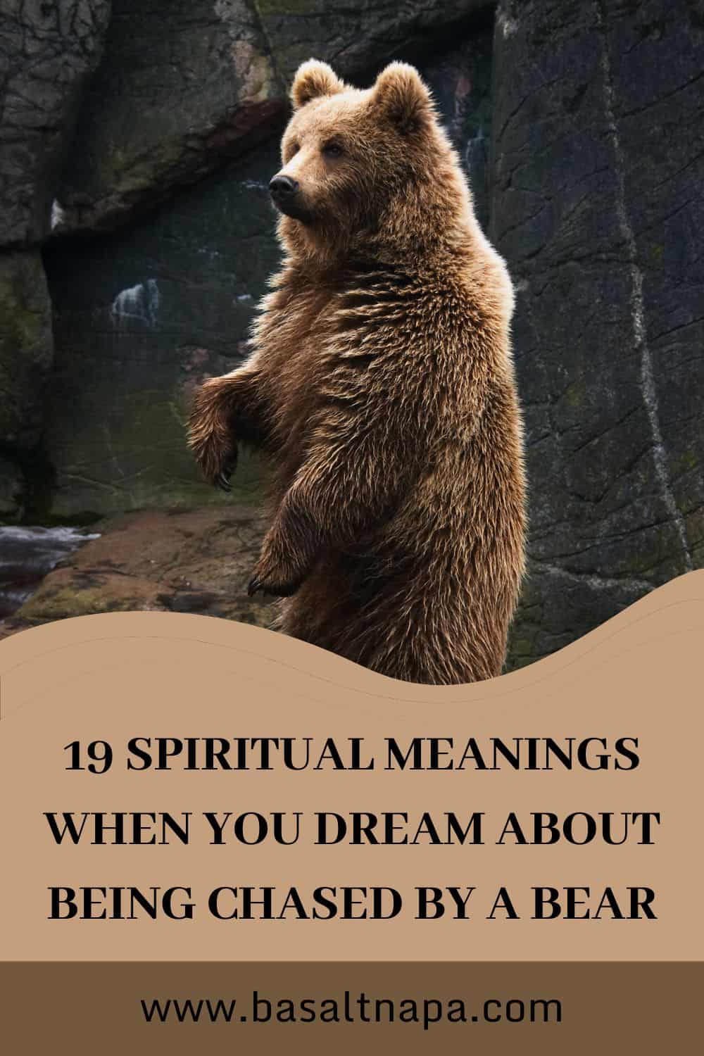 19 Spiritual Meanings When You Dream About Being Chased By a Bear