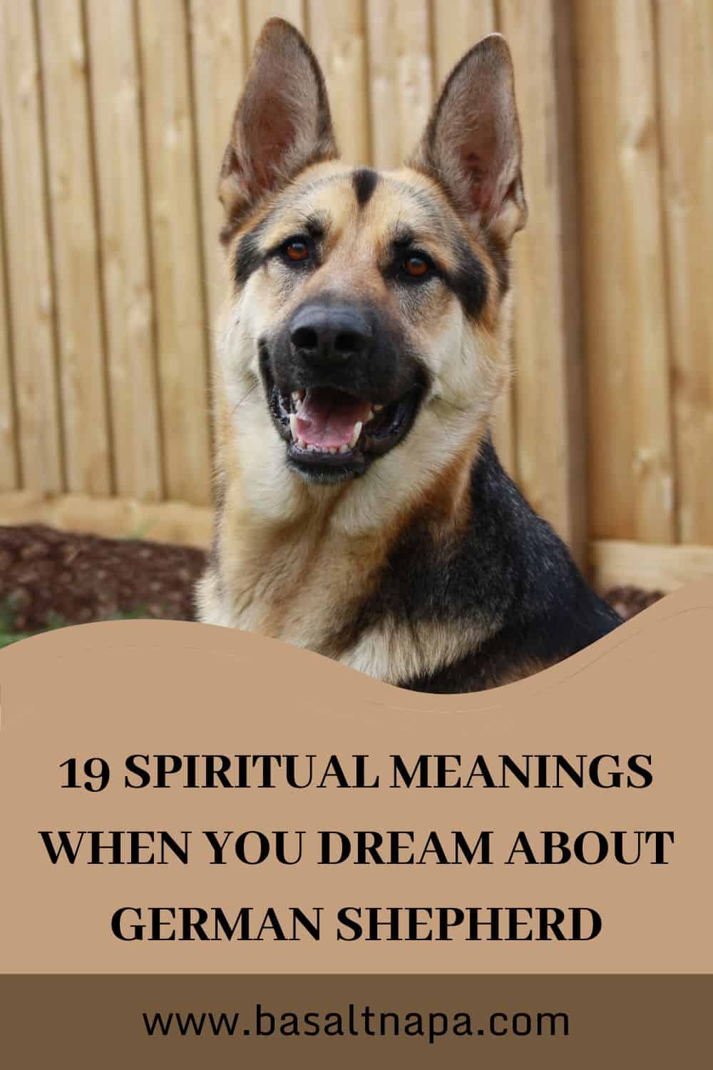 19 Spiritual Meanings When You Dream About German Shepherd