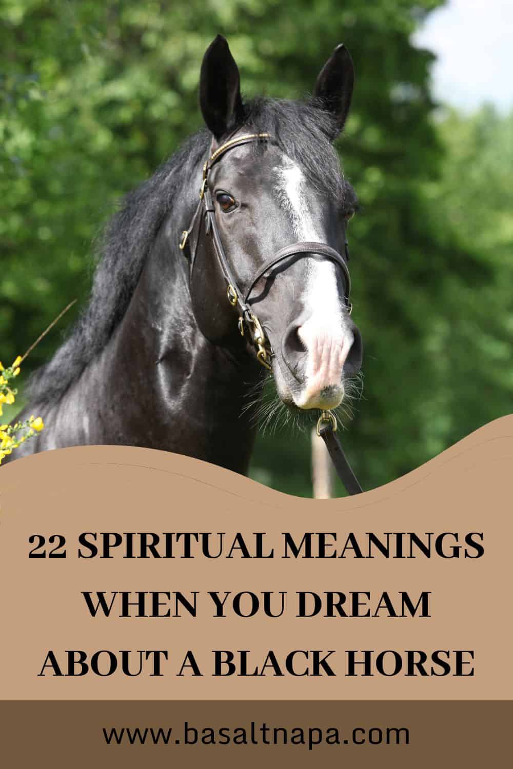 22 Spiritual Meanings When You Dream About A Black Horse