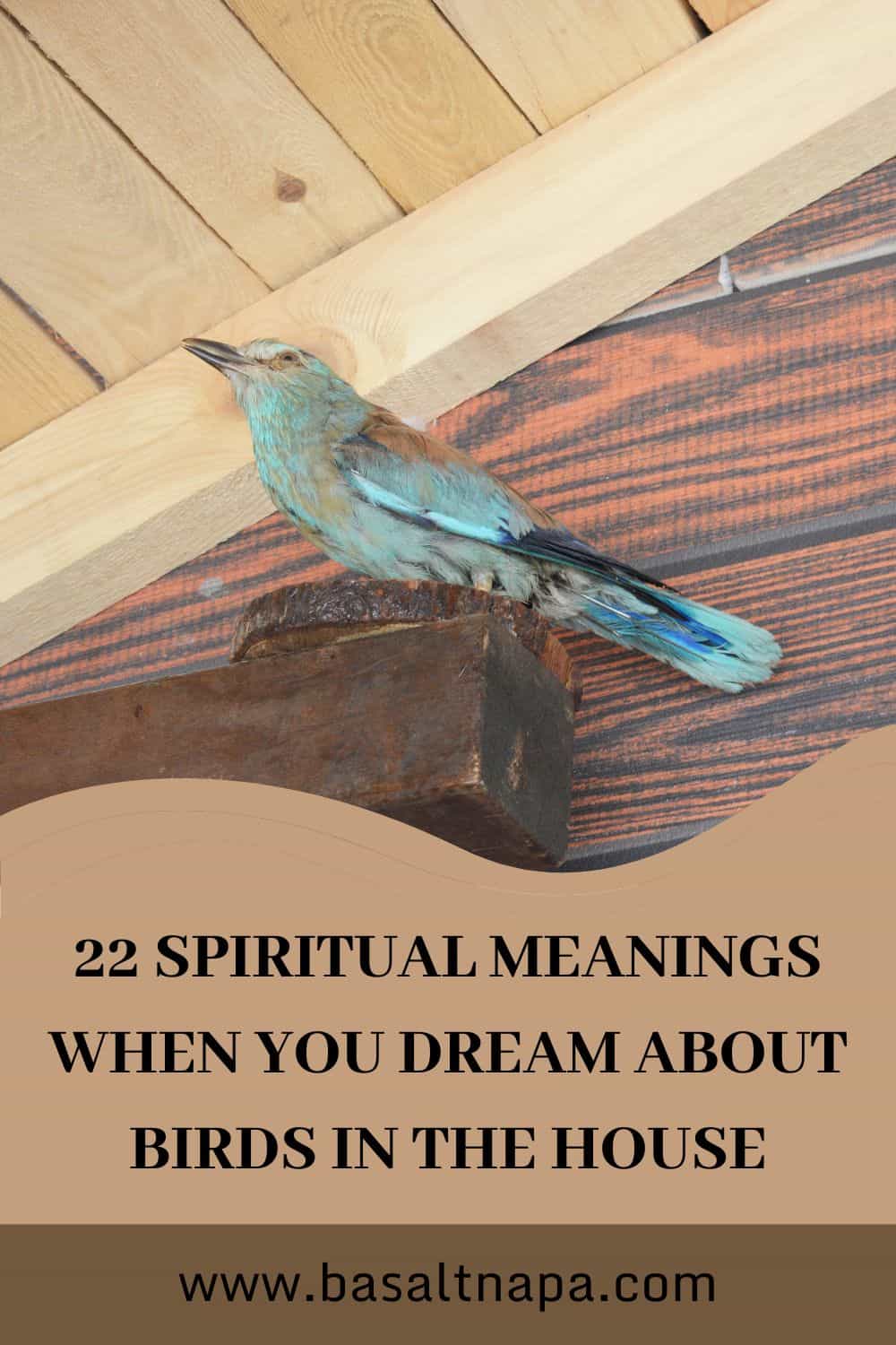 22 Spiritual Meanings When You Dream About Birds In The House