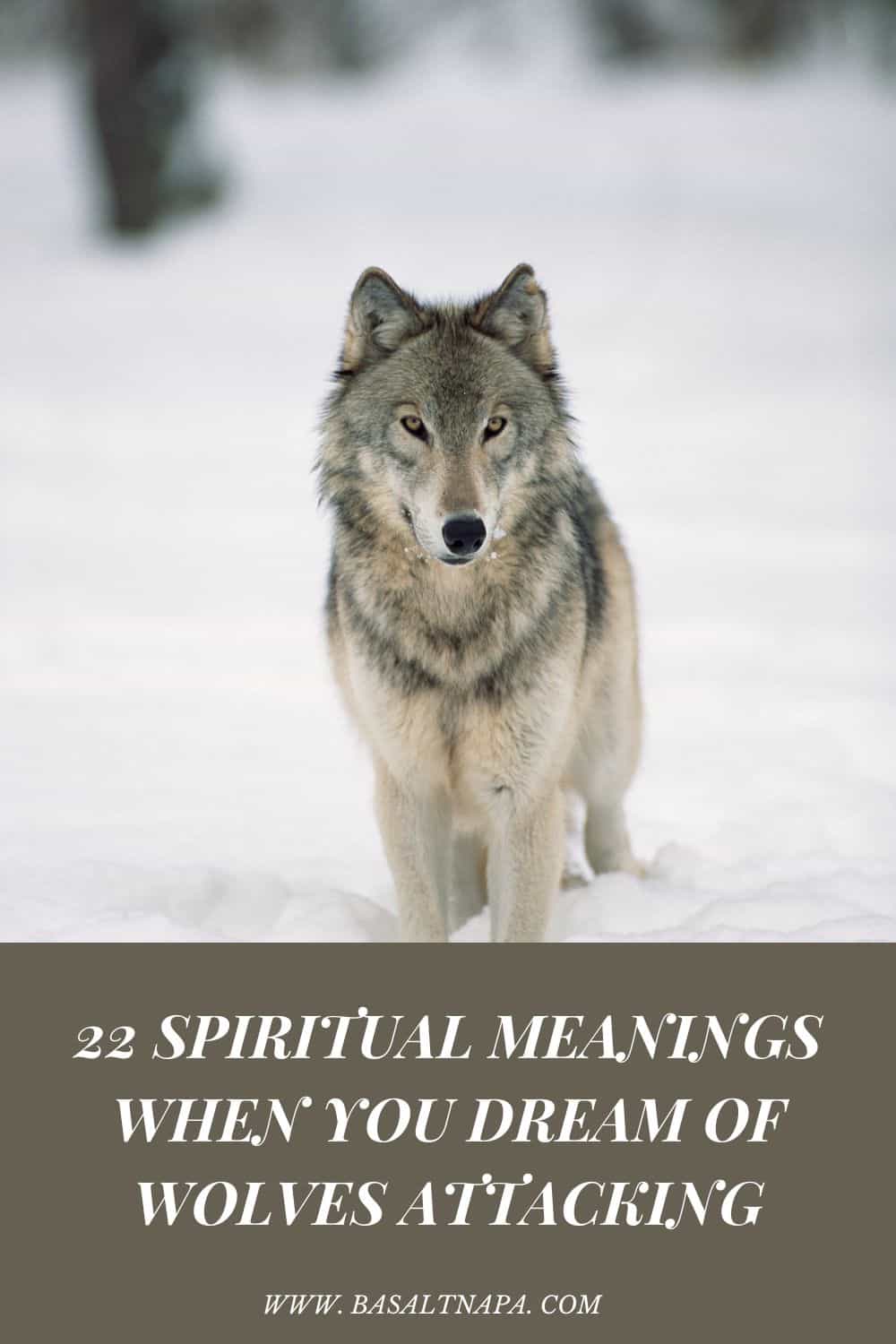 22 Spiritual Meanings When You Dream Of Wolves Attacking
