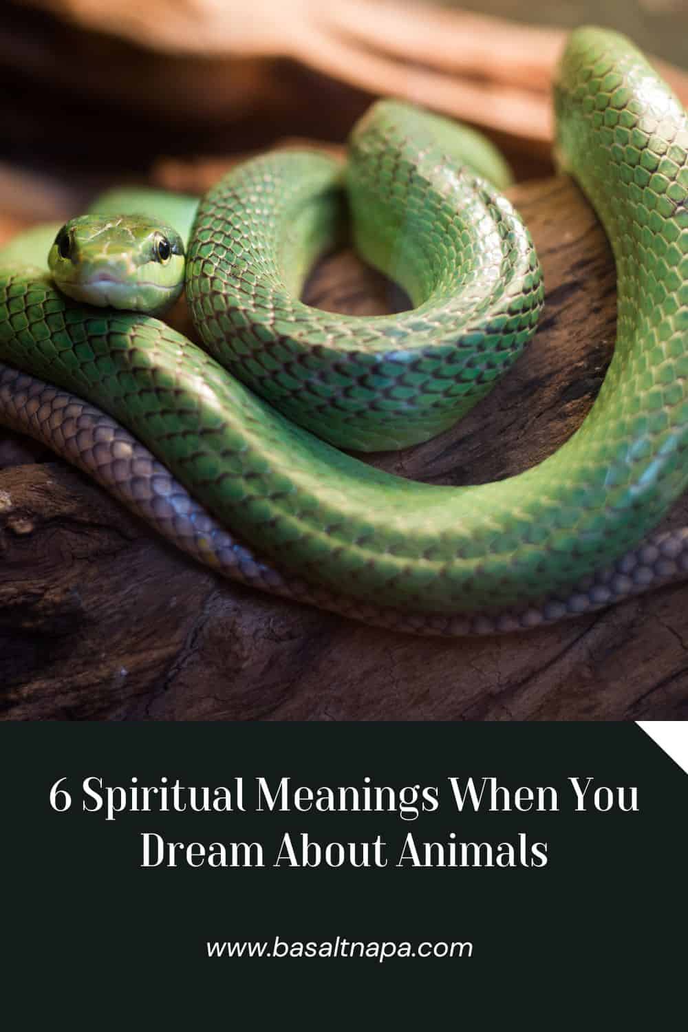 6 Spiritual Meanings When You Dream About Animals
