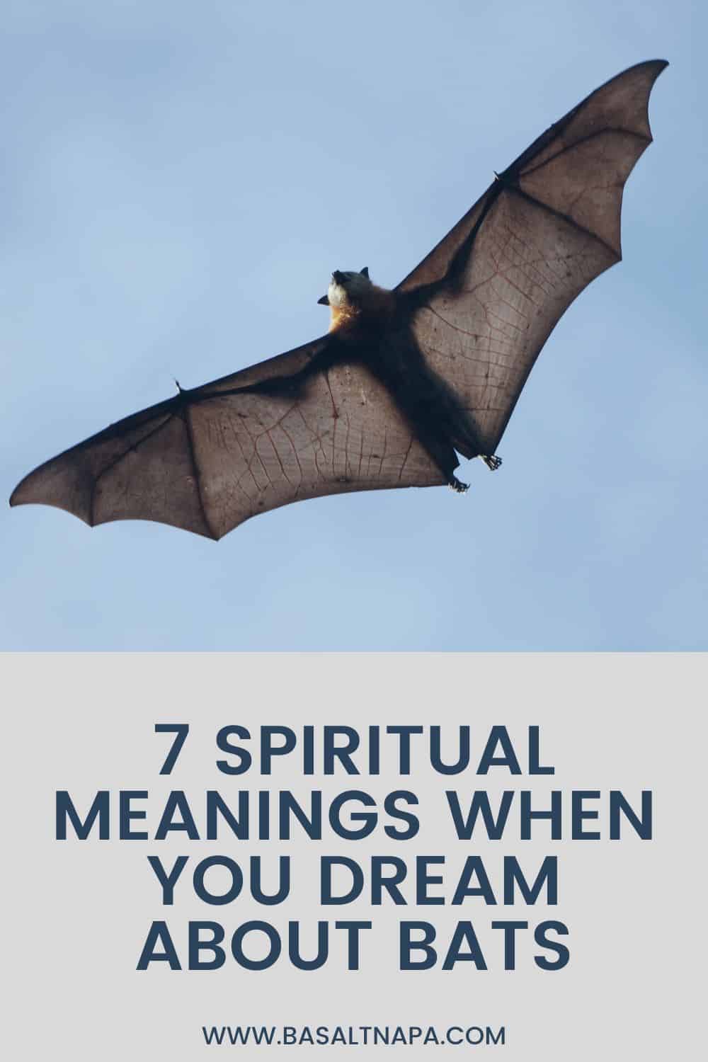 7 Spiritual Meanings When You Dream About Bats