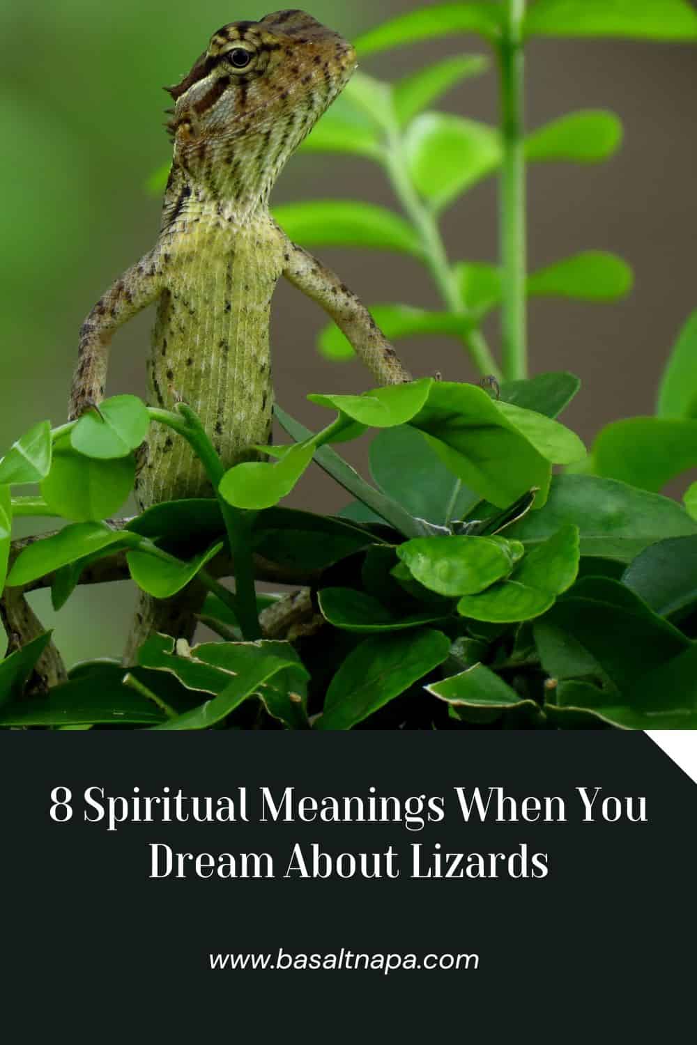 8 Spiritual Meanings When You Dream About Lizards