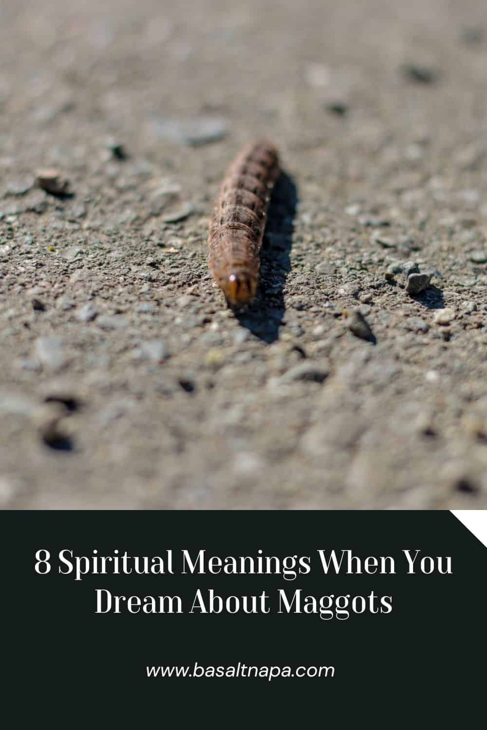 8 Spiritual Meanings When You Dream About Maggots