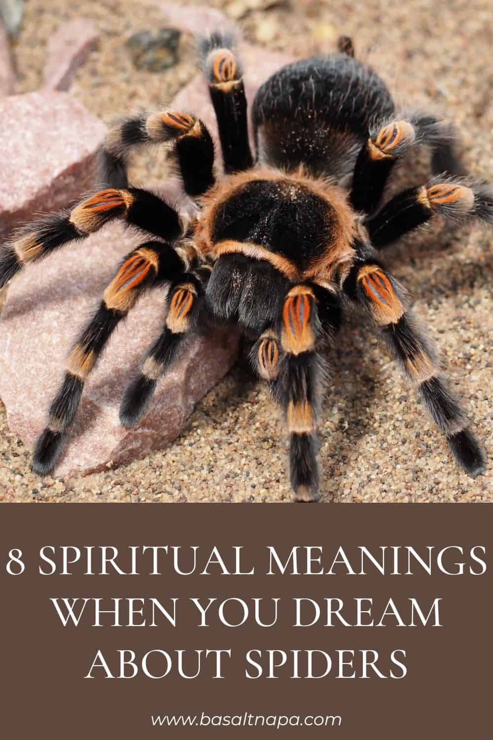 8 Spiritual Meanings When You Dream About Spiders