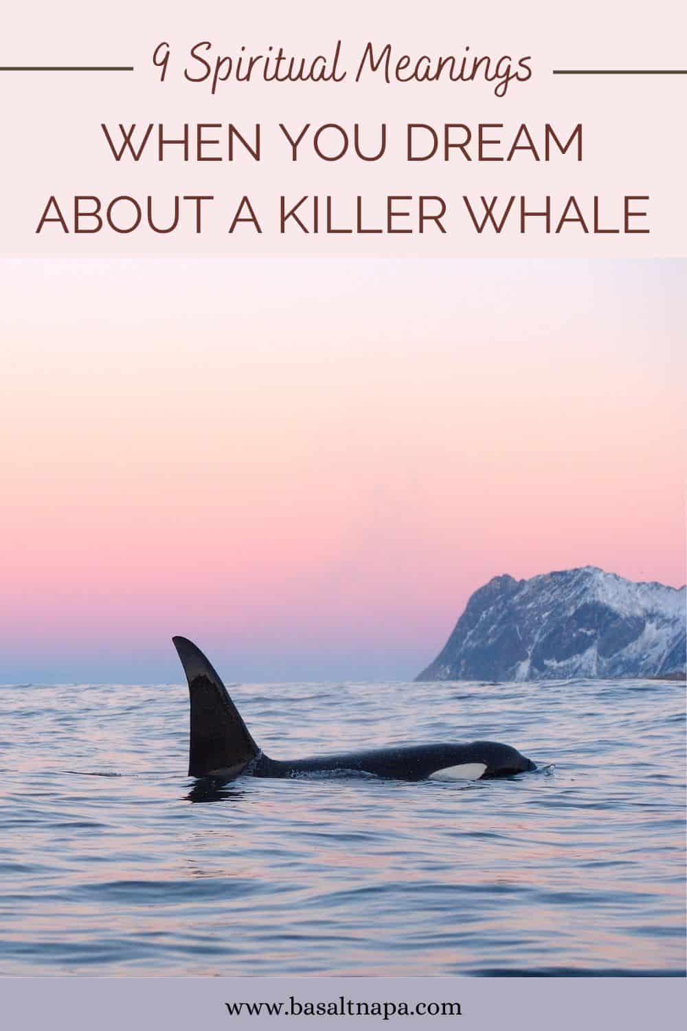 9 Spiritual Meanings When You Dream About A Killer Whale