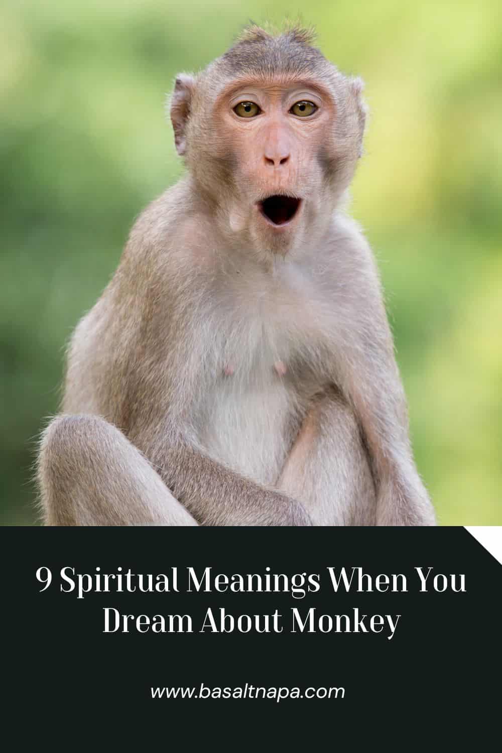 9 Spiritual Meanings When You Dream About Monkey