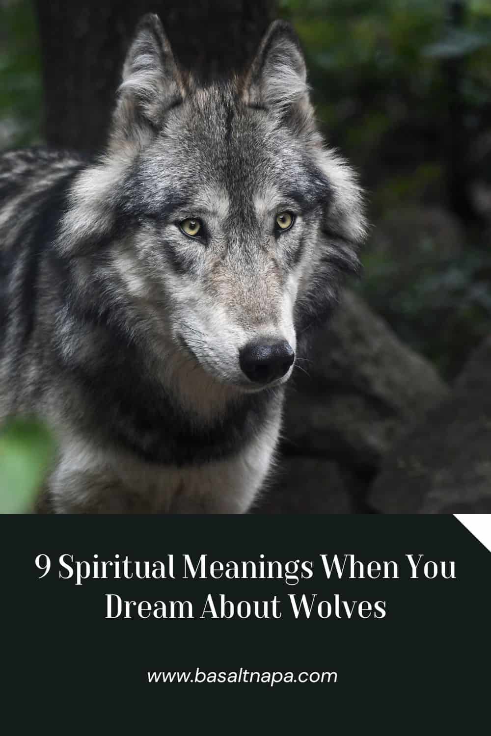 9 Spiritual Meanings When You Dream About Wolves