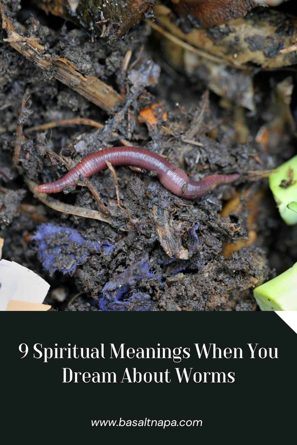 9 Spiritual Meanings When You Dream About Worms