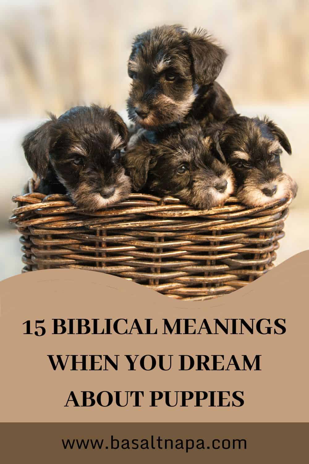 Biblical Explanation of Puppies in your Dreams