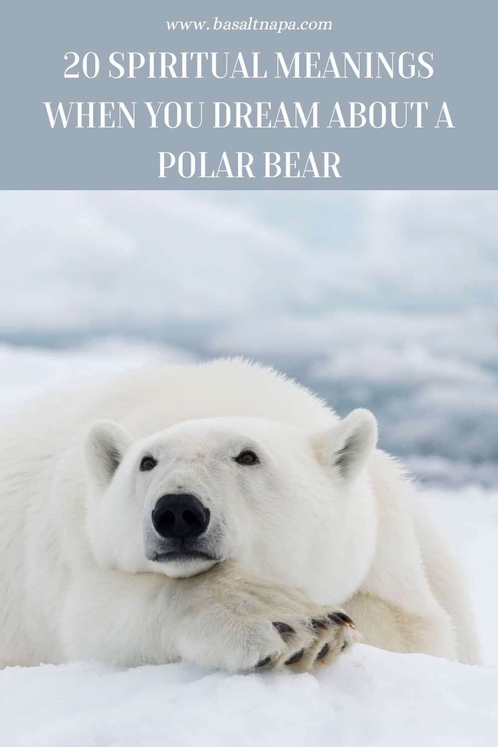 Different Meanings of Dreaming about Polar Bears