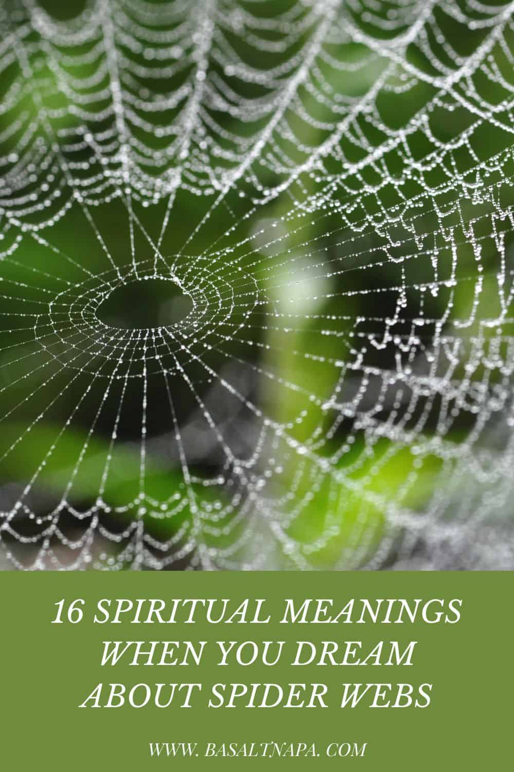 Different Meanings of Dreaming about a Spider Web