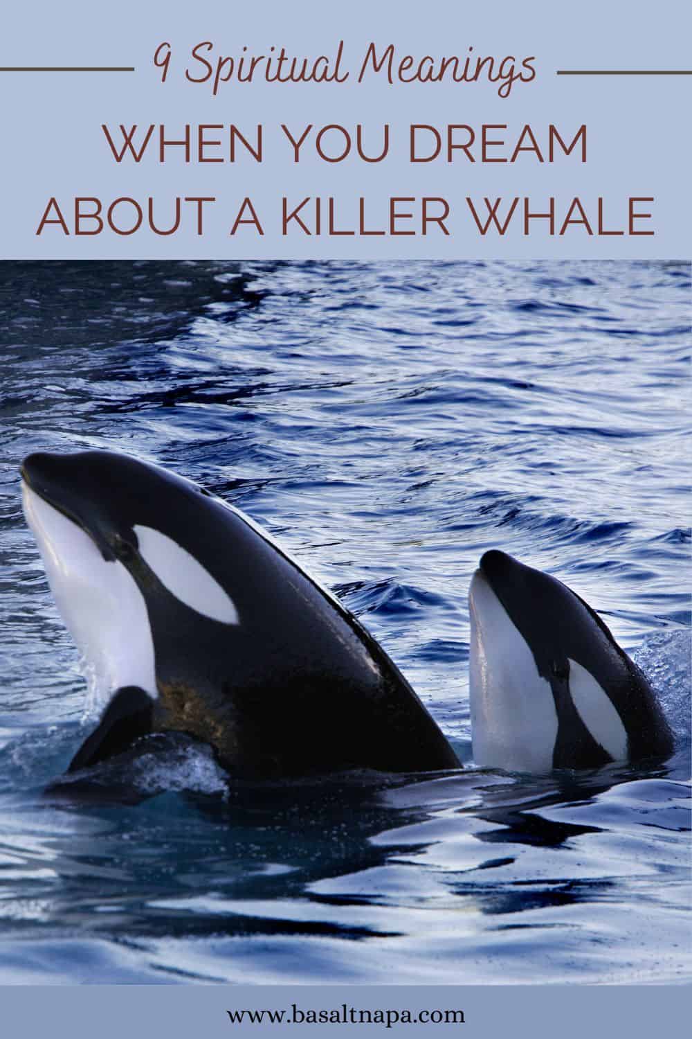 Dream about a killer whale meanings