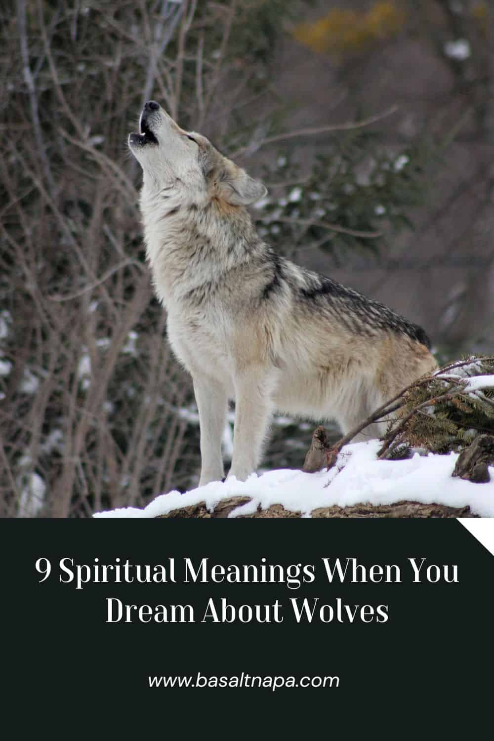 Dreaming About Wolves: 9 Meanings and Interpretations